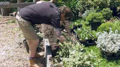 Can see that by having
a garden bed here, - Selling Houses Australia