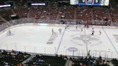 Can seem a bit "flat." - Ice Guardians