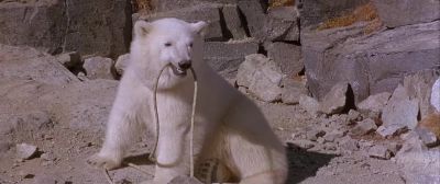 What the - Alaska