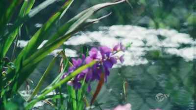 Can we take Sophie kayaking? - Love at Sunset Terrace