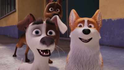 Can he talk? Go ahead, big man, let's see what you can do. - The Queen's Corgi