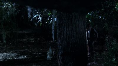 Can you turn into a bat? - True Blood