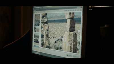Can watch the end of "Survivor." - The Tourist