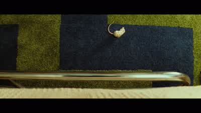 Can we get somebody over here to kill these mice for us? - The Royal Tenenbaums