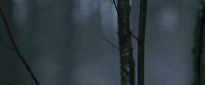 Canada. - Bad Samaritan