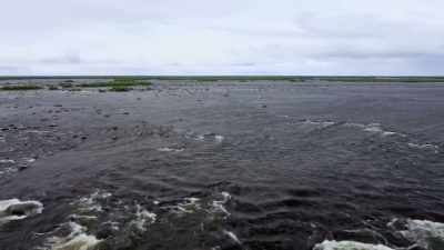 "Canada's Hudson Bay," - Secrets of the Whales
