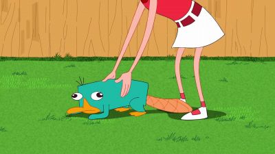 Candance Oh there you are Perry - Phineas and Ferb