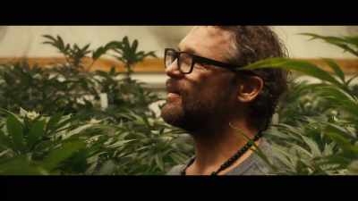 Cannabis, flower,
hemp, marijuana, whatever - The Last Deal