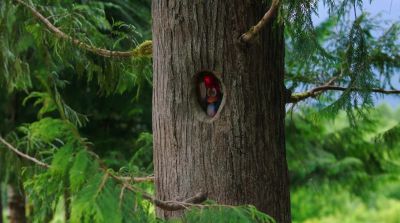Can't a bird catch some Z's around here? - Woody Woodpecker