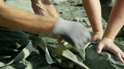 cant-be-thrown-down-like-the-other-rocks - Attenborough and the Sea Dragon