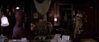 Can't you ever come in through the front door - The Phantom