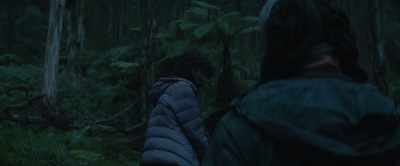 -Can't get any worse than this. - Force of Nature: The Dry 2
