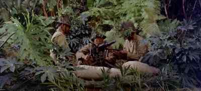 Can't you get him out of there?
He'll be shot to pieces. - South Pacific
