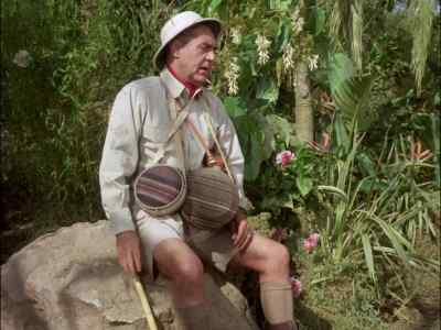 CAN'T GO ON. - Gilligan's Island