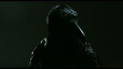 Can't rain all the time - The Crow