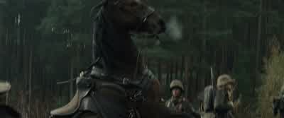As you see, sir, this one is stronger. - War Horse