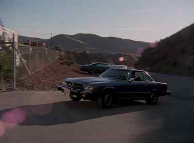 Can't you see the sign, dude?
No trespassing. - The Six Million Dollar Man