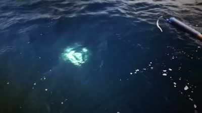  Cap had to take over,
 I had no juice
 left in my tank. - Deadliest Catch: Bloodline