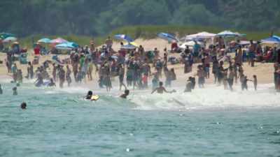 Cape Cod is de zomerspeelplaats
van Nieuw-Engeland. - Return of the White Shark