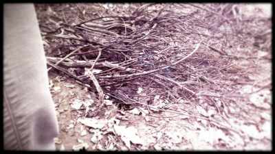 CAPT. DUSTIN: There were
some decomposition, - Buried In The Backyard