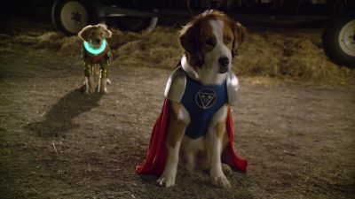 Captain Canine sir are you okay - Super Buddies