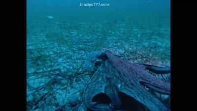 Captain Cousteau
has been more responsible - Becoming Cousteau