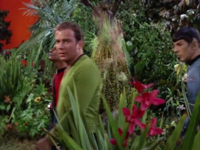 Captain. - Star Trek