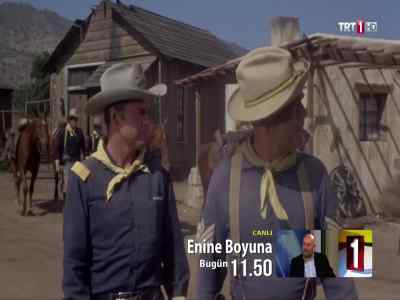 Captain?
- What is it, Sergeant? - 40 Guns to Apache Pass
