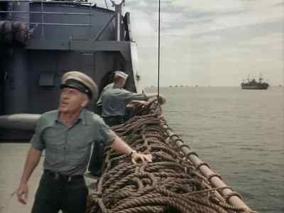 Captain's back from the beach. - Away All Boats