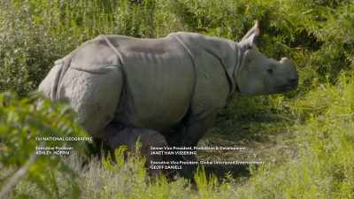captioned-by-side-door-media-services - Secrets of the Zoo