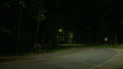 (car approaching) - Trees and Other Entanglements