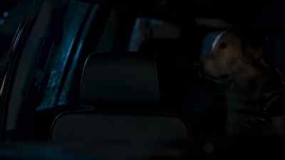 (car door closes) - In the Dark