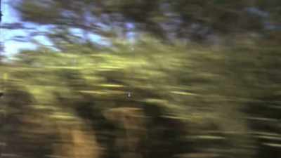 (CAR ENGINE RUMBLING) - The Invisible Pilot
