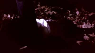 [ CAR TRUNK CLOSES ] - Bloodlands