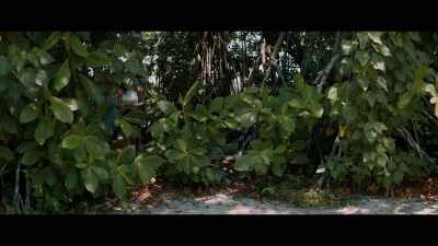 - [Cara] Oh, yeah, - Castaways