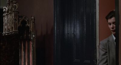 Careful It bites - Videodrome