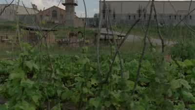 Careful out there. - The Walking Dead