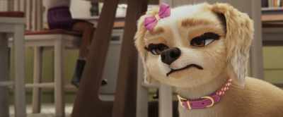 Careful princess, your face
might freeze like that. - Gracie & Pedro: Pets to the Rescue
