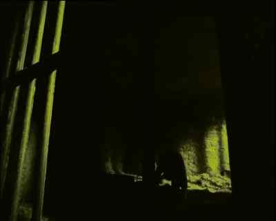 CARL! - Wire in the Blood