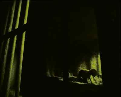 Carl! - Wire in the Blood