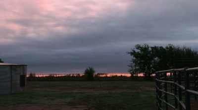 Carl Wayne caught,
fence fixed, on to the next one. - How to Be a Cowboy