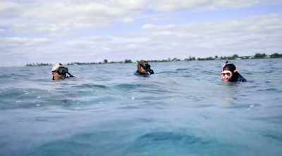 CARLEE (off-screen): We were beginning
to get a little discouraged that - Shark Attack Files