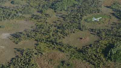 CARLTON: It is the last breeding population - Path of the Panther