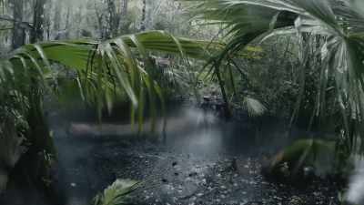 CARLTON: The trail is totally washed out. - Path of the Panther
