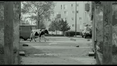 Carnardo... - La Haine