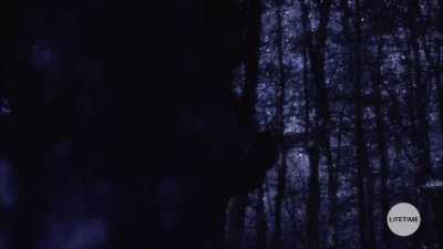 [carnival music playing] - The Watcher in the Woods