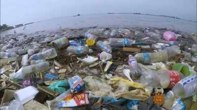      Carpenter: The surge of
 attention to plastic pollution - The Story of Plastic