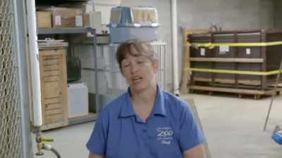 Carrie: So, we're getting
ready to intro heidi and
randhir together. - Secrets of the Zoo