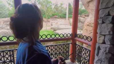 Carrie: Where'd she go?
Now I can't see her? - Secrets of the Zoo