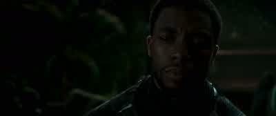 Carry yourselves home now. - Black Panther